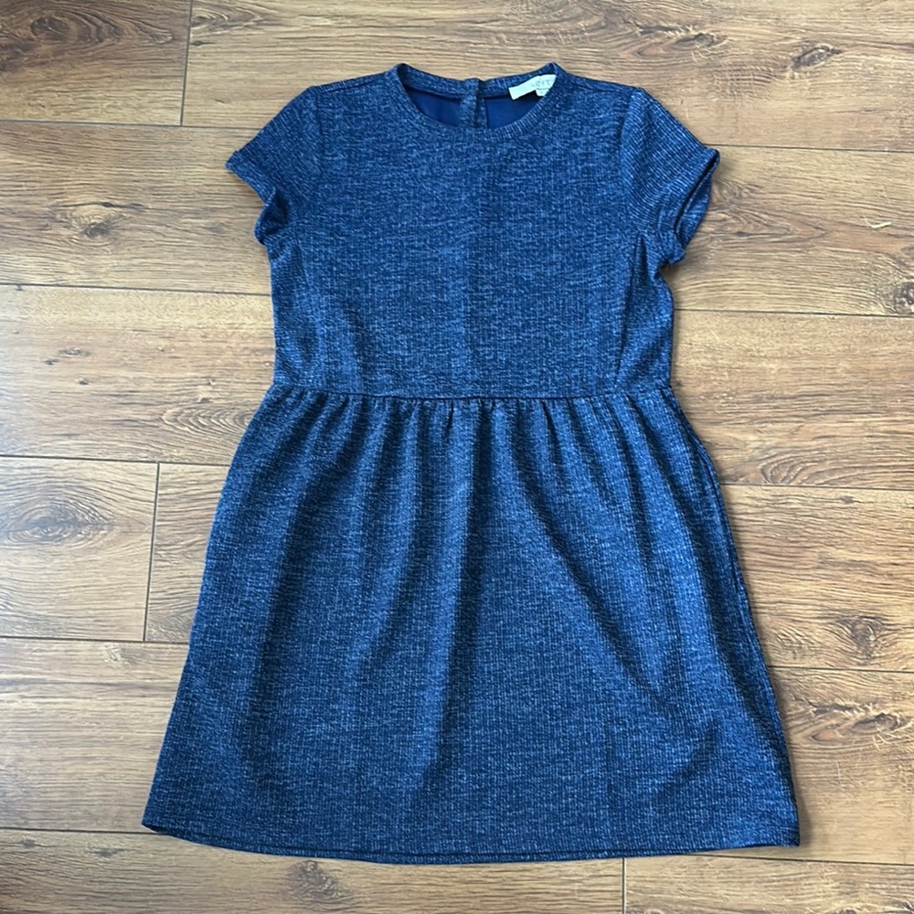 Loft Blue Dress